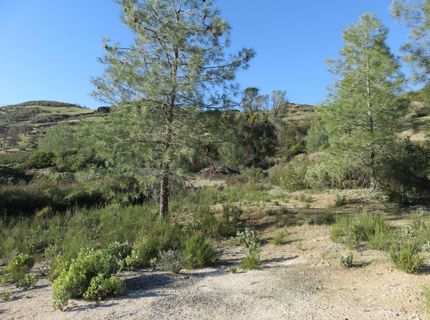 White Rock Rd, Mountain Ranch, CA 95246 Photo