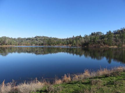 White Rock Rd, Mountain Ranch, CA 95246 Photo