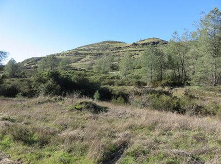 White Rock Rd, Mountain Ranch, CA 95246 Photo