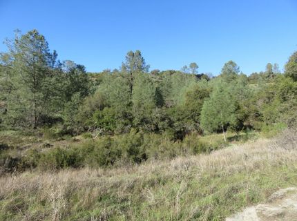 White Rock Rd, Mountain Ranch, CA 95246 Photo