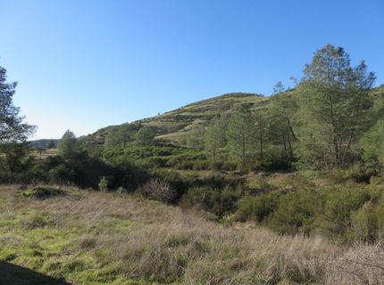 White Rock Rd, Mountain Ranch, CA 95246 Photo