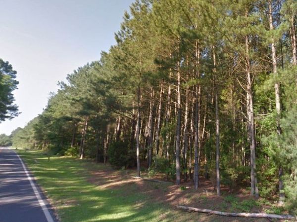 TBD BOSTIC (LOT 13) Road, Laurinburg, NC 28352