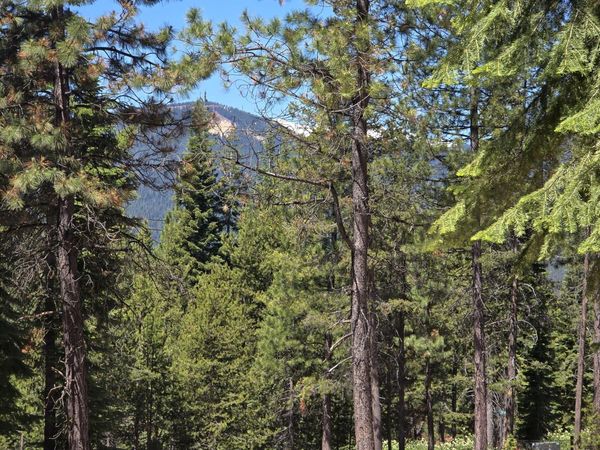 19 Elk Haven Way, Crescent Lake, OR 97733