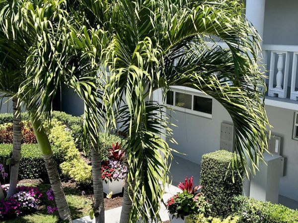 32 Colonial Club Drive, Unit 203, Boynton Beach, FL 33435