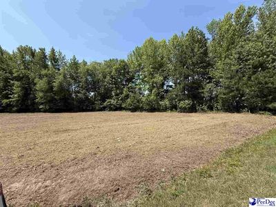 Lot 2 Lenson Mangum Rd, Pageland, SC 29728