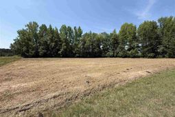 Lot 2 Lenson Mangum Rd photo 4