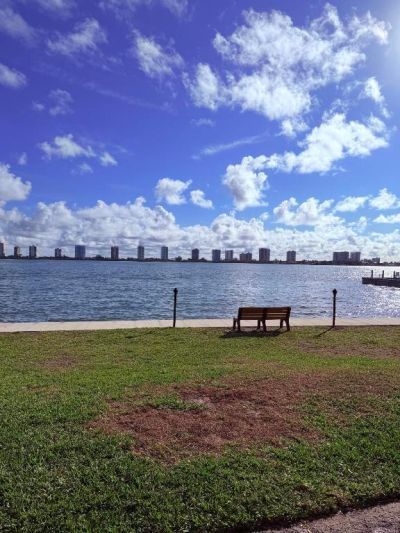 1040 Lake Shore Drive, Unit 204, Lake Park, FL 33403 Photo