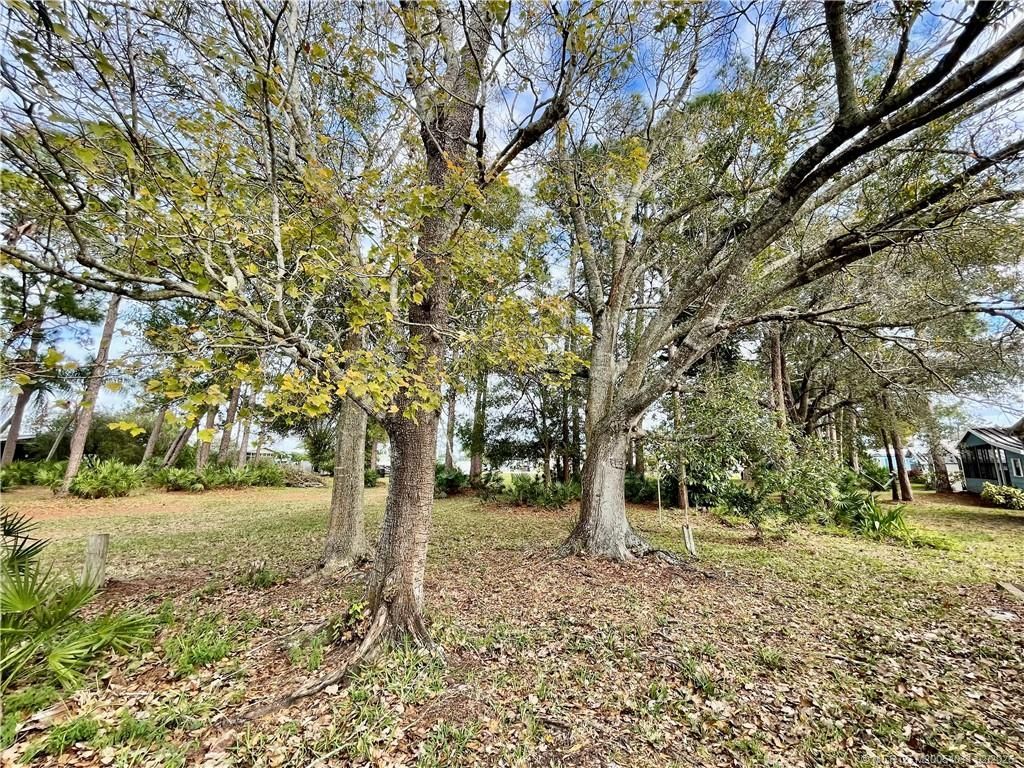 16343 SW Four Wood Way, Indiantown, FL 34956 Photo