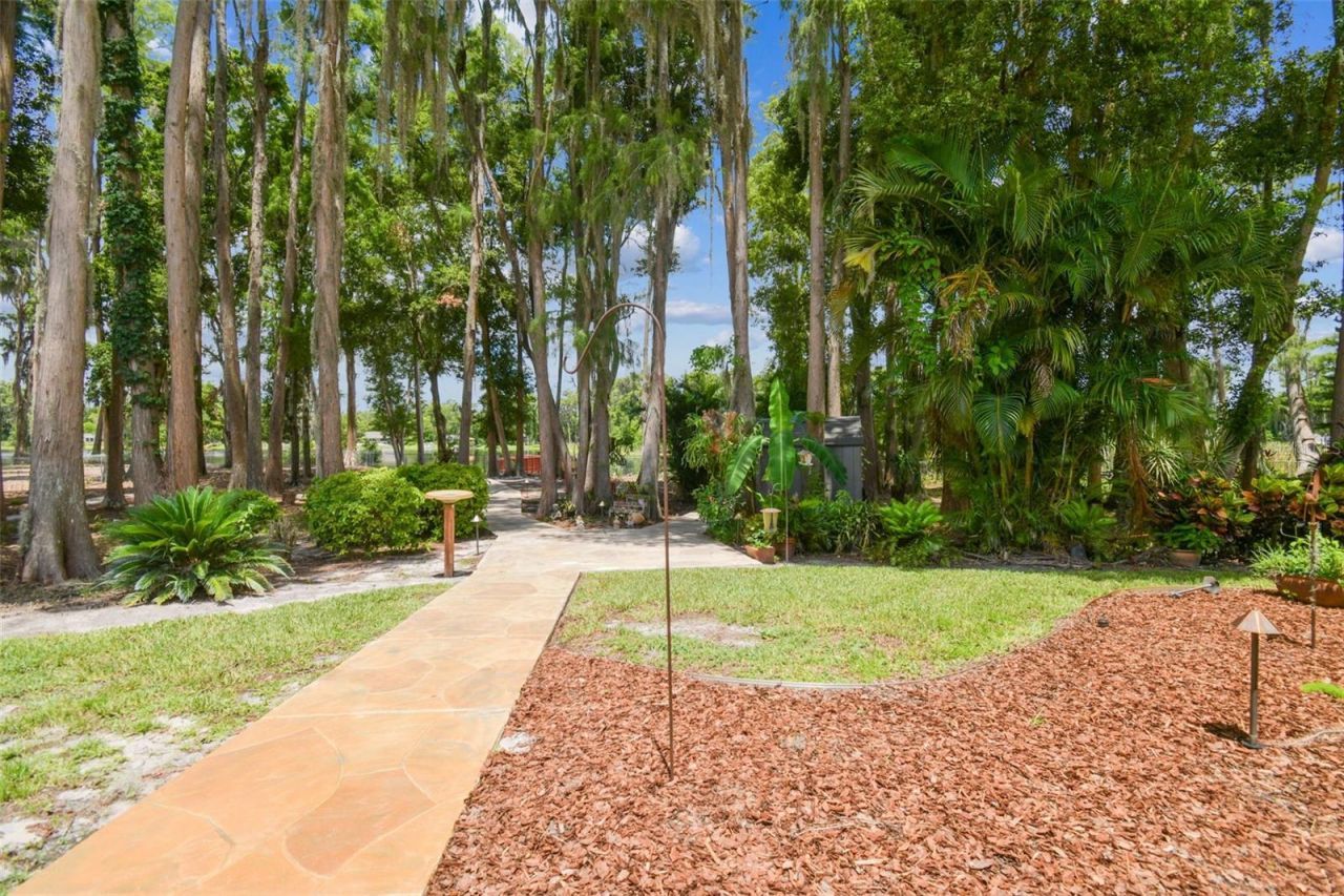 17906 Loretta Lane, Lutz, FL 33548 Photo