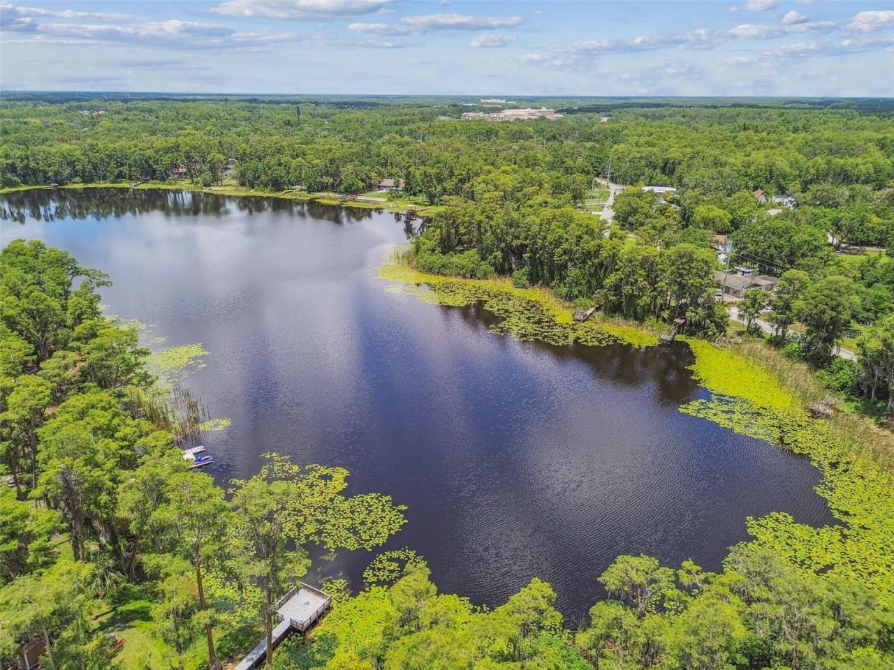 17906 Loretta Lane, Lutz, FL 33548 Photo