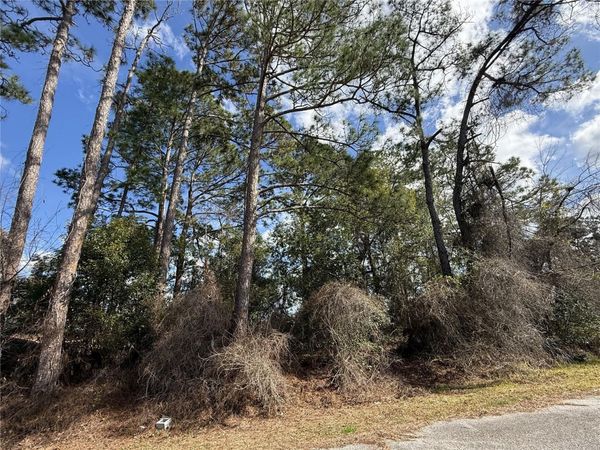 TBD SE 190TH AVENUE, SILVER SPRINGS, FL 34488