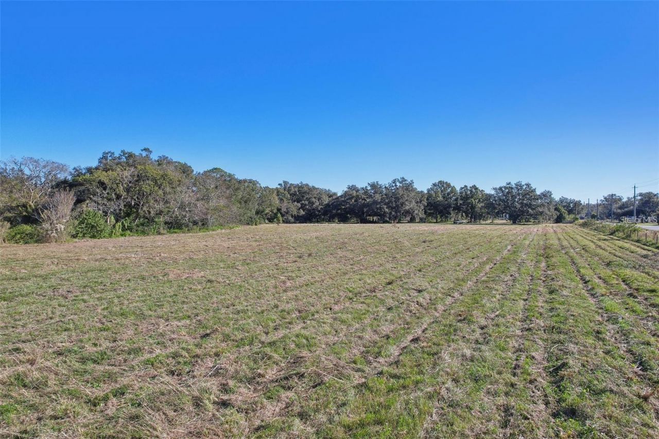 00 Cr-542, Lakeland, FL 33801 Photo