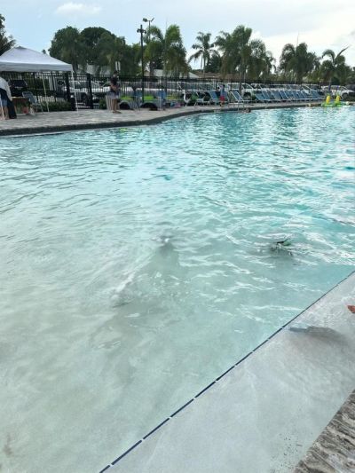 9138 Bedford Drive, Boca Raton, FL 33434 Photo