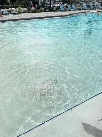 9138 Bedford Drive, Boca Raton, FL 33434 Photo