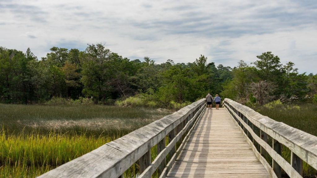 454 Blissful Dr Photo 27