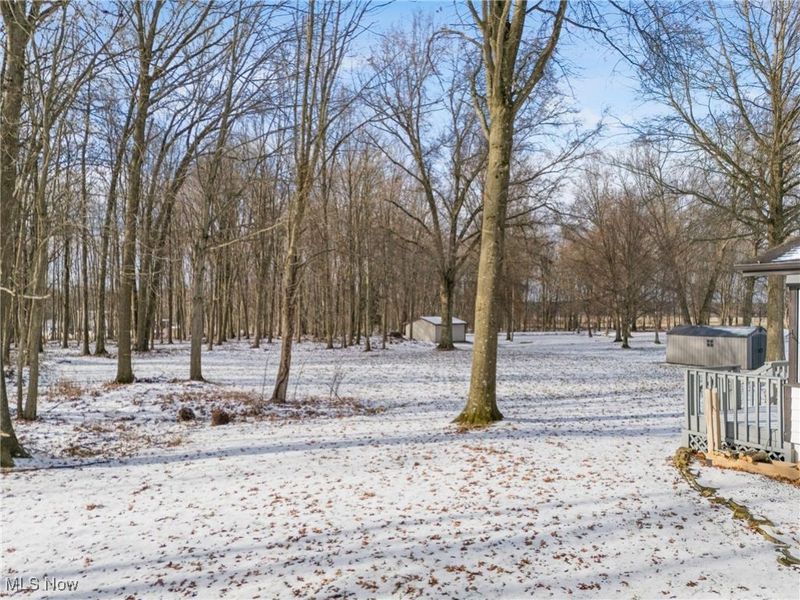 1005 N 13th Street, Sebring, OH 44672 Photo 39