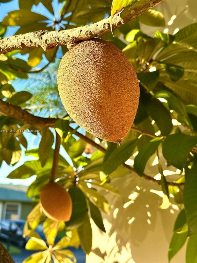 11117 SW 122nd Ct, Miami, FL 33186 Photo