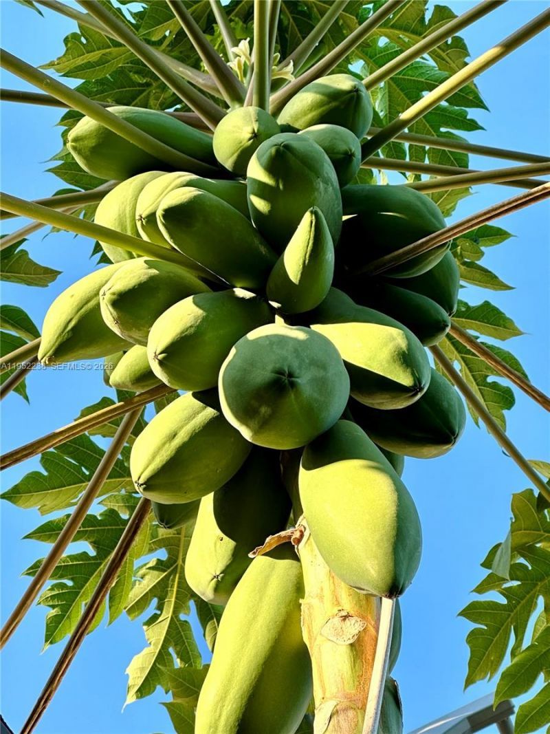 11117 SW 122nd Ct, Miami, FL 33186 Photo