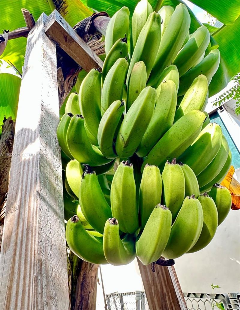 11117 SW 122nd Ct, Miami, FL 33186 Photo