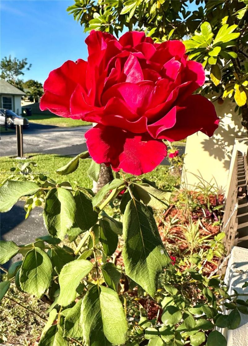 11117 SW 122nd Ct, Miami, FL 33186 Photo