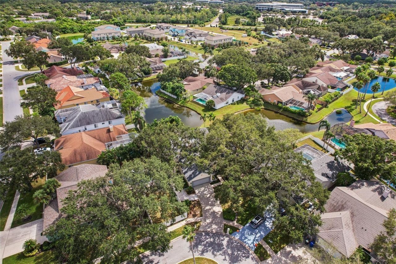 3158 Shoreline Drive, Clearwater, FL 33760 Photo