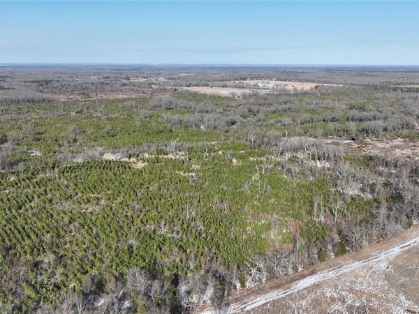 TBD County Rd. 2242 S., Bagwell, TX 75412