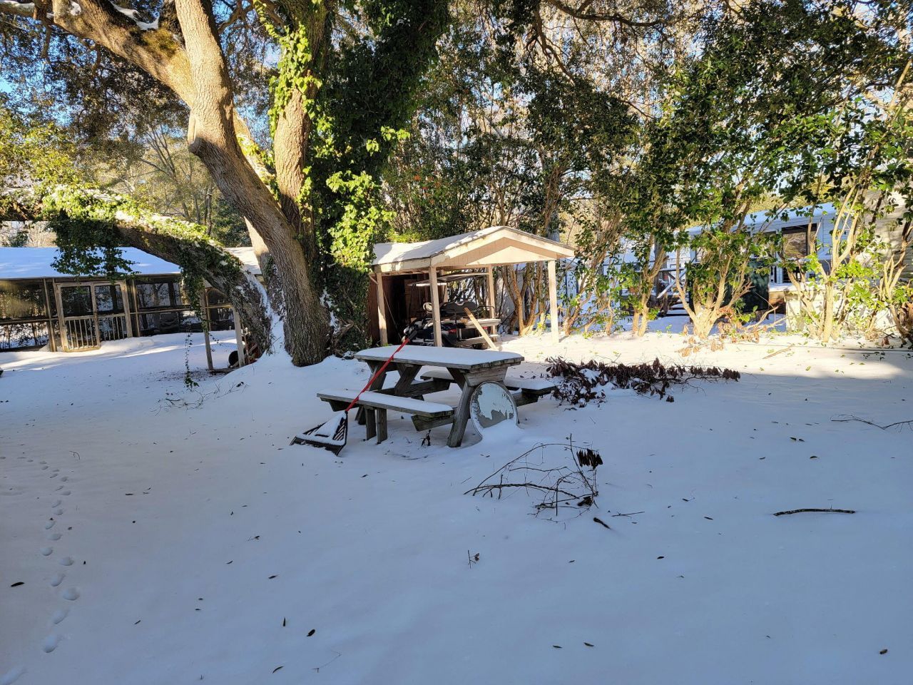 323 Knott Drive Photo 26