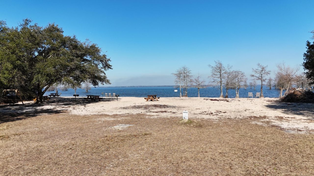 323 Knott Drive Photo 6