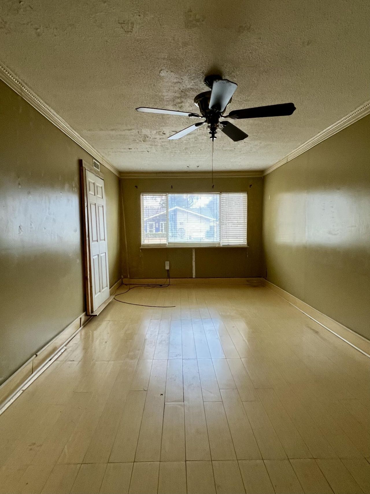 303 Pembrook Street Photo 11