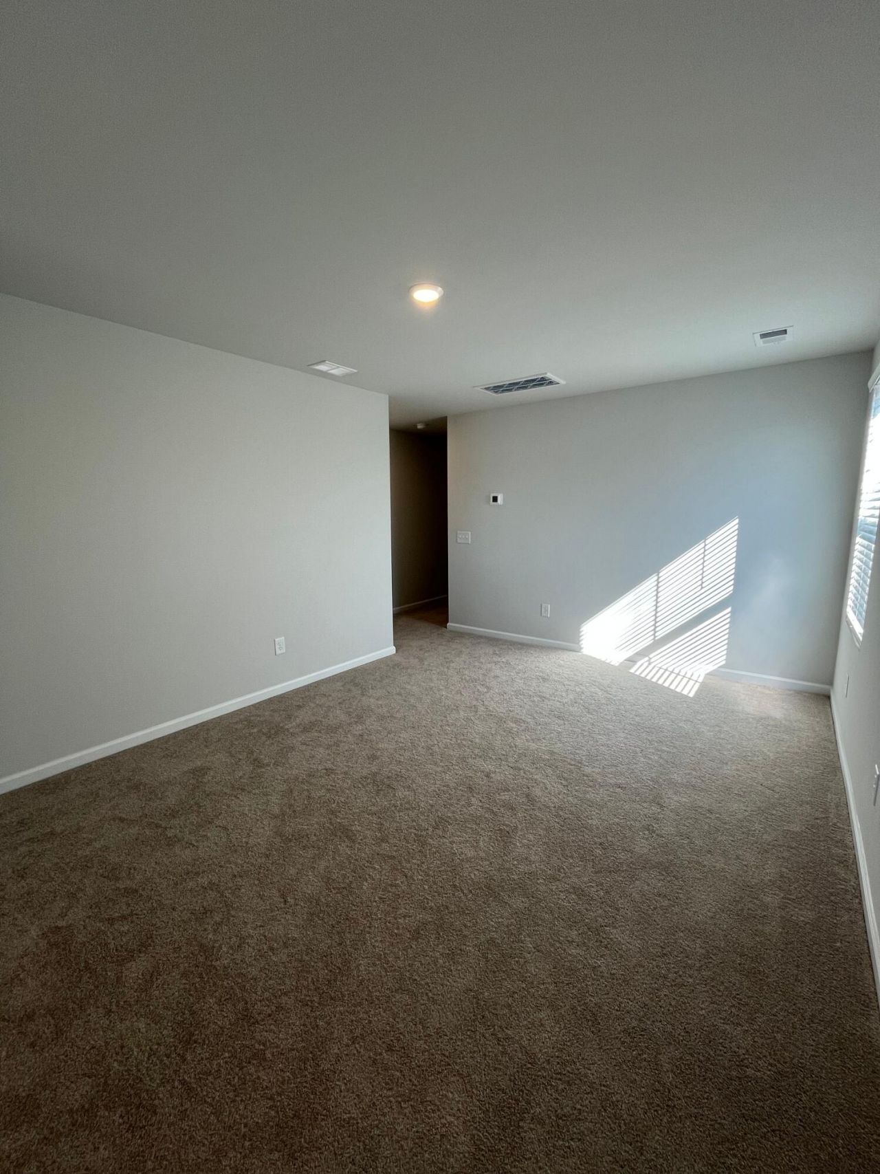 359 Pine Crest View Drive Photo 17