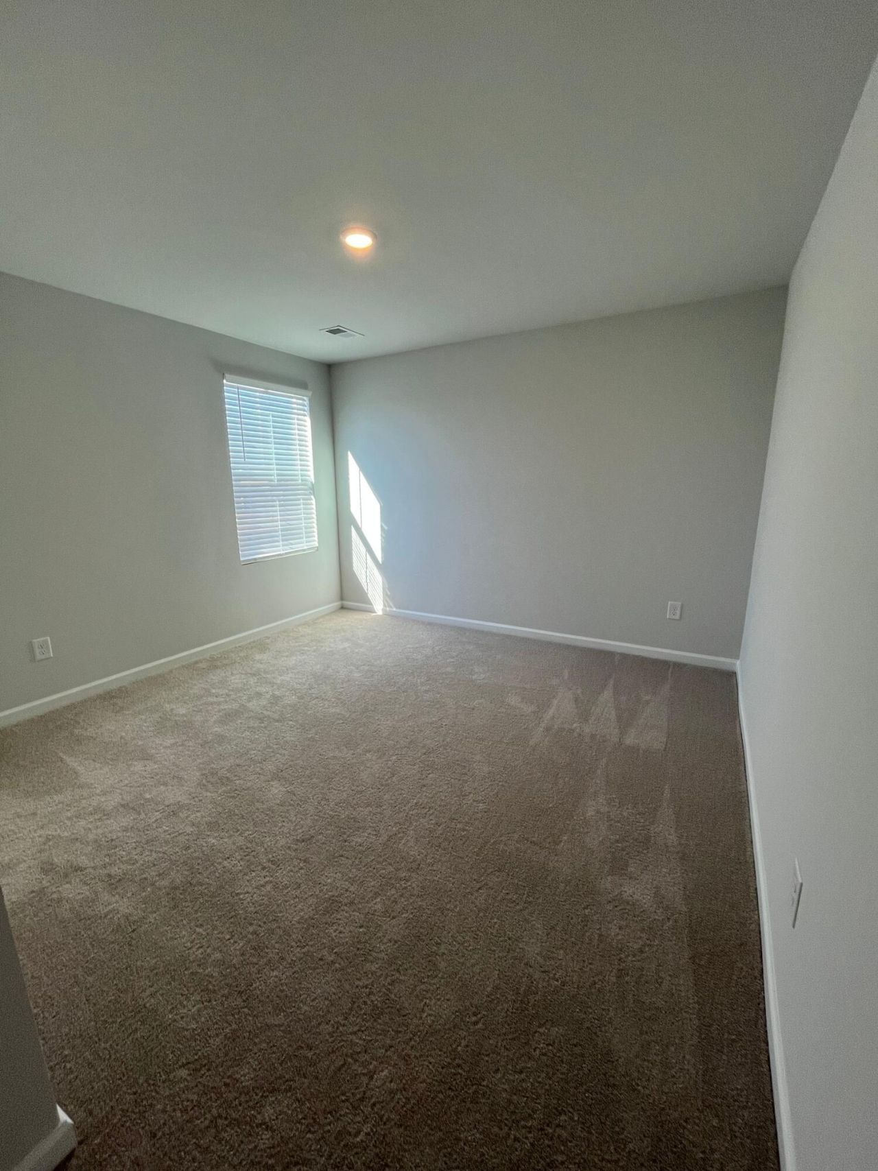 359 Pine Crest View Drive Photo 19