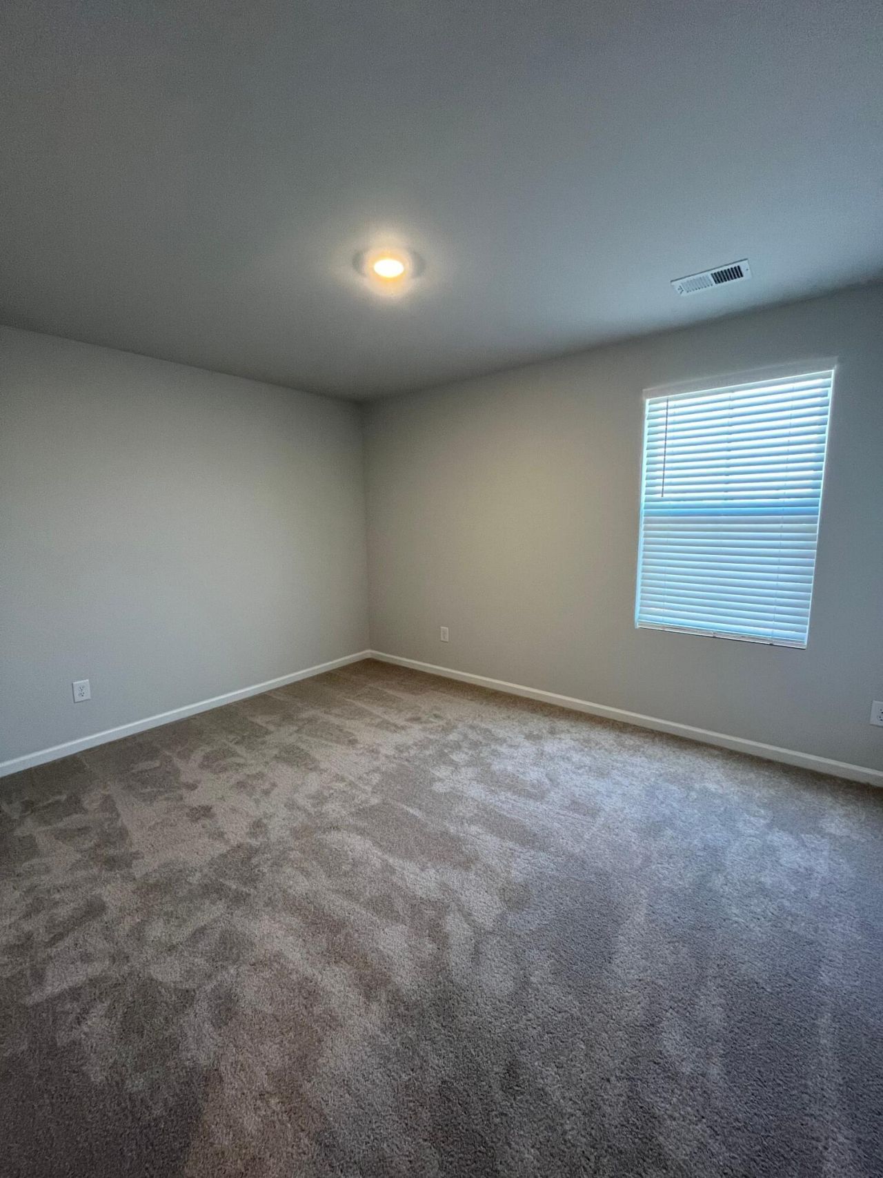 359 Pine Crest View Drive Photo 21