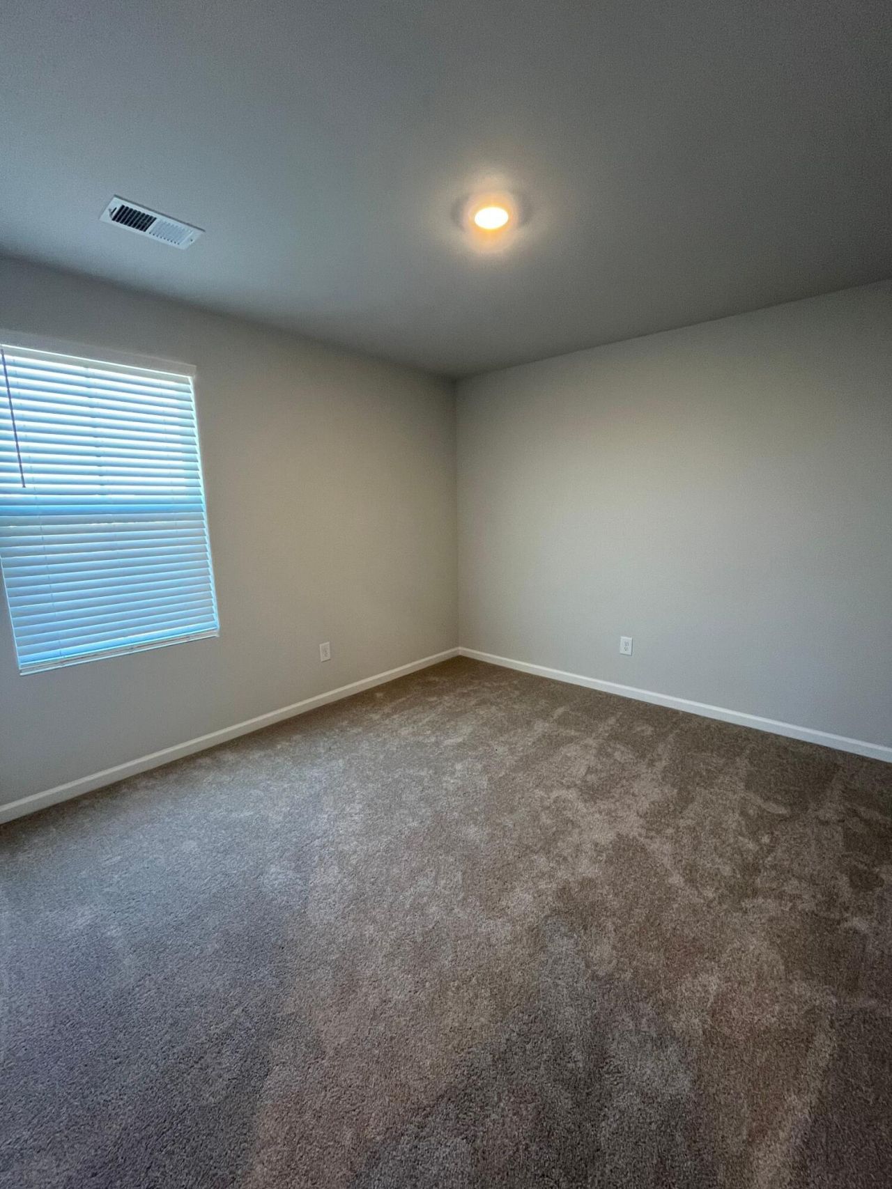 359 Pine Crest View Drive Photo 23