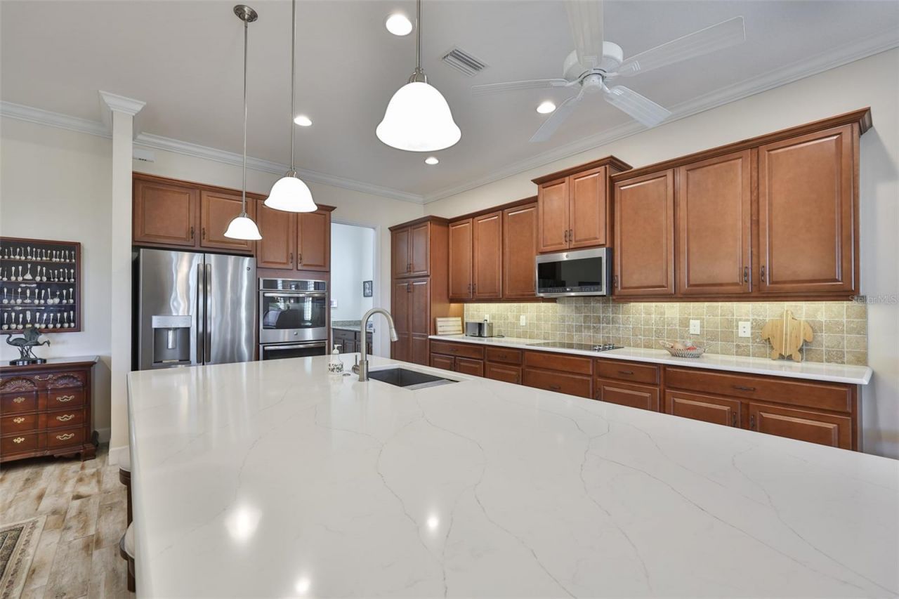 1731 Pacific Dunes Drive, Sun City Center, FL 33573 Photo