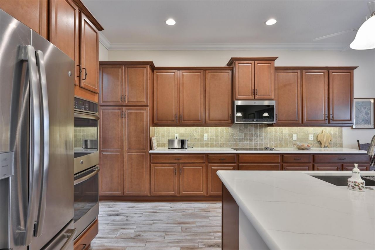 1731 Pacific Dunes Drive, Sun City Center, FL 33573 Photo