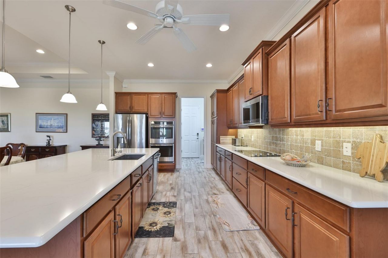 1731 Pacific Dunes Drive, Sun City Center, FL 33573 Photo