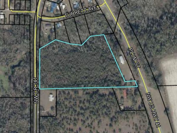 TBD NW 141 CR, Jennings, FL 32053