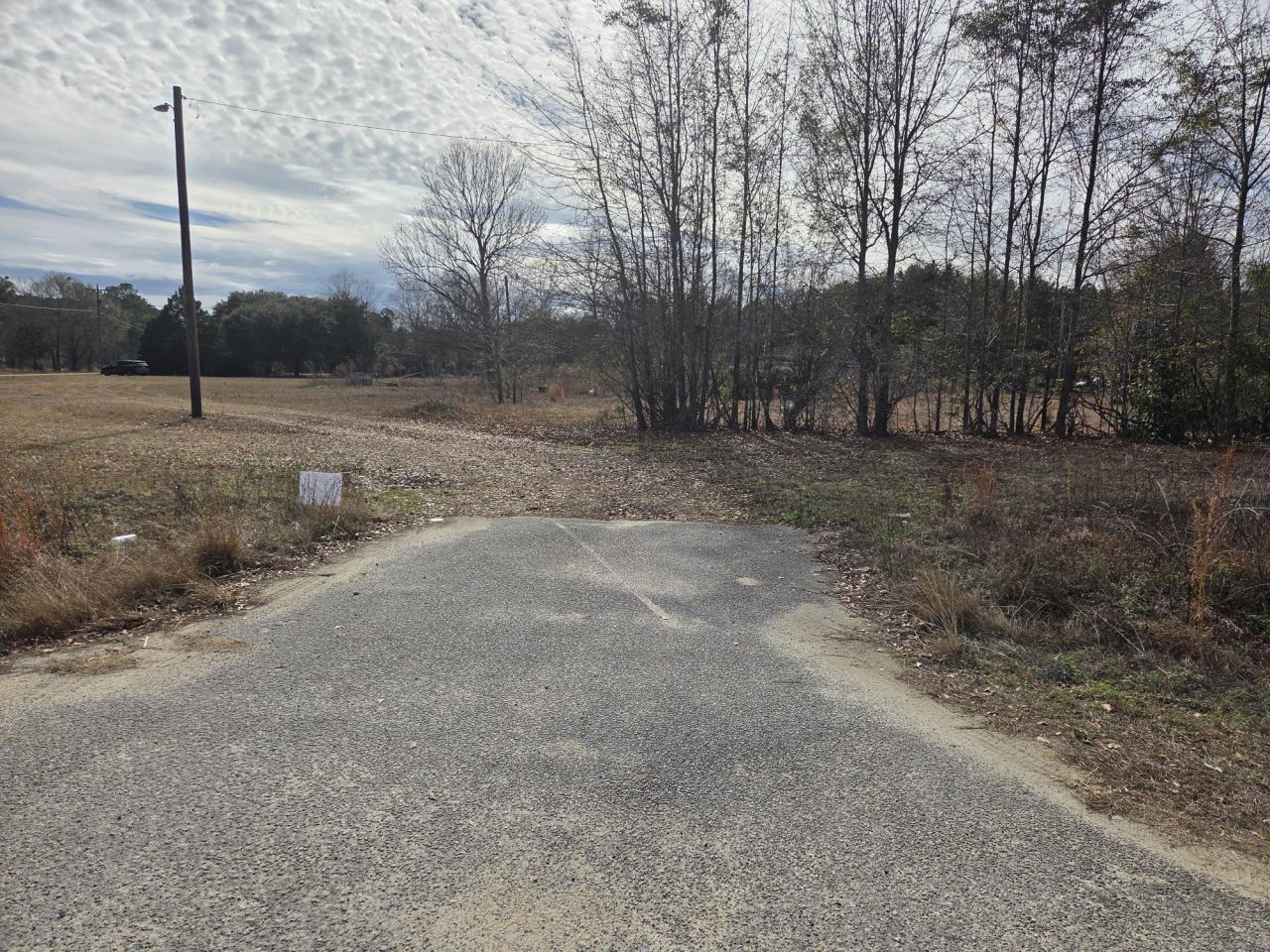 7878 Raccoon Road Photo 12