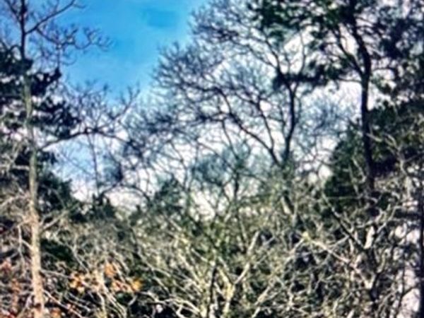 2 Old Farms Trail, Edgartown, MA 02539