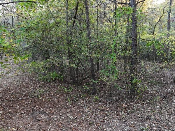 9426 Mississippi 315 , Sardis, MS 38666