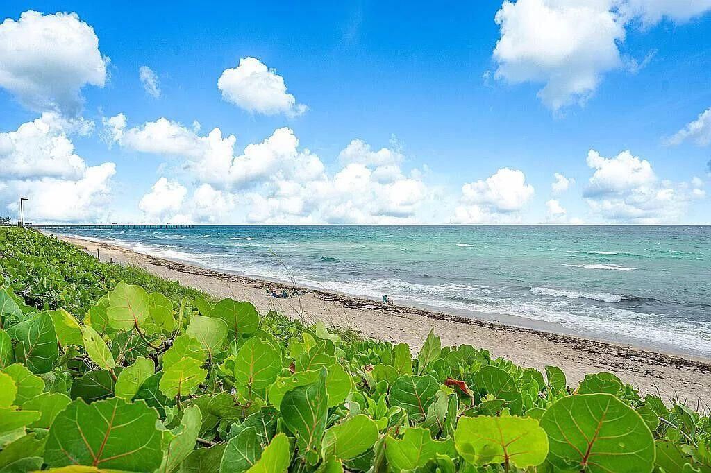 3200 S Ocean Boulevard, Unit C303, Palm Beach, FL 33480 Photo