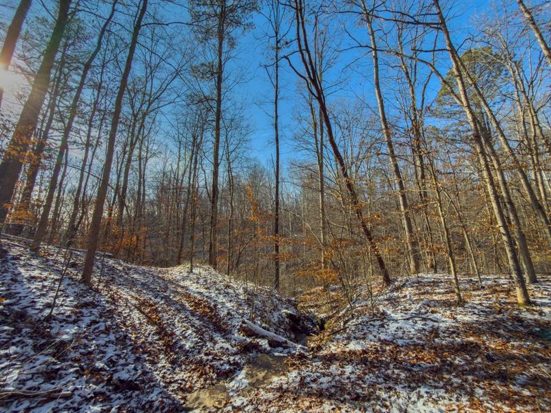 5230 Null Road, Coolville, OH 45723 Photo 10