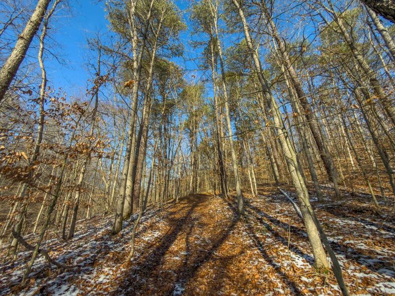 5230 Null Road, Coolville, OH 45723 Photo 11