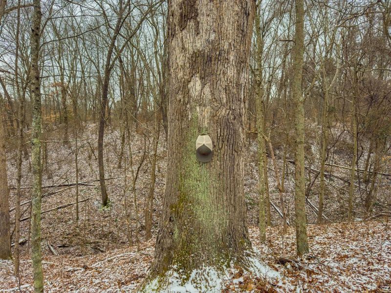 5230 Null Road, Coolville, OH 45723 Photo 13