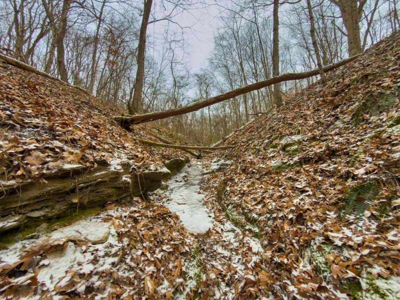 5230 Null Road, Coolville, OH 45723 Photo 16