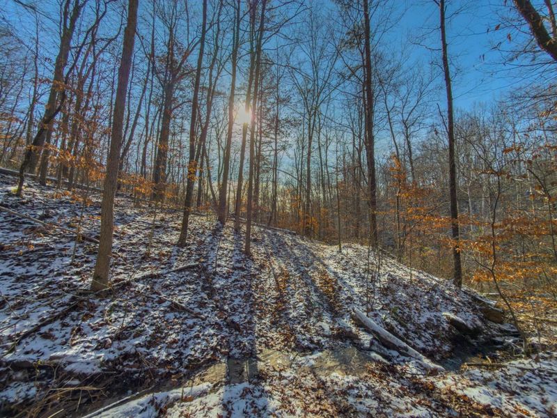 5230 Null Road, Coolville, OH 45723 Photo 18