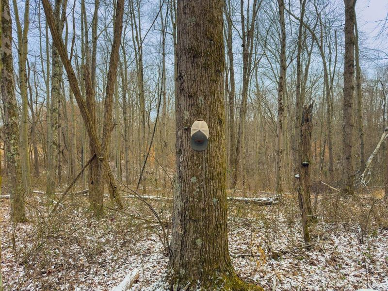 5230 Null Road, Coolville, OH 45723 Photo 19