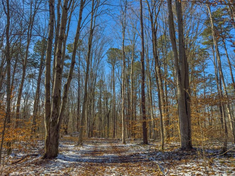 5230 Null Road, Coolville, OH 45723 Photo 2