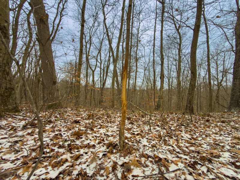 5230 Null Road, Coolville, OH 45723 Photo 20