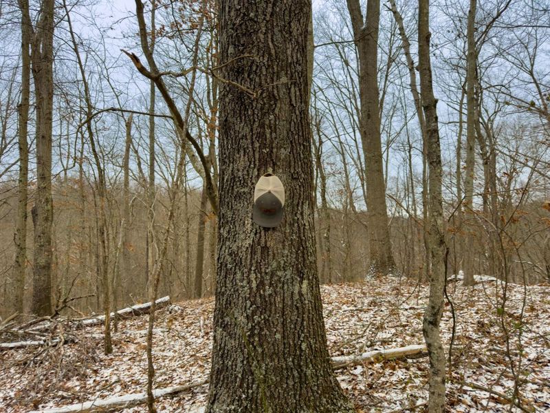 5230 Null Road, Coolville, OH 45723 Photo 24